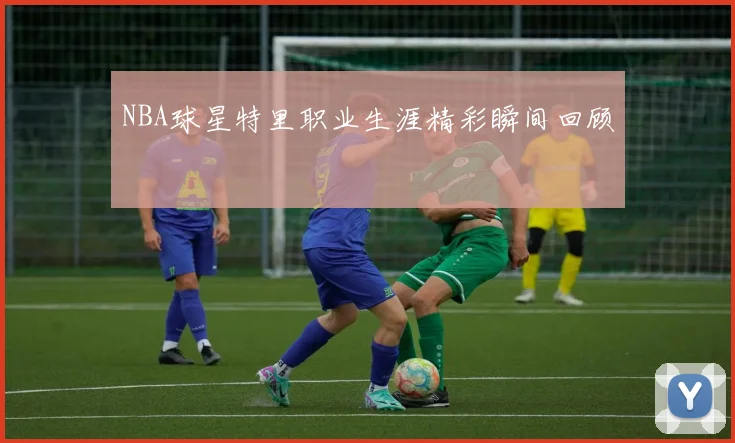 NBA球星特里职业生涯精彩瞬间回顾