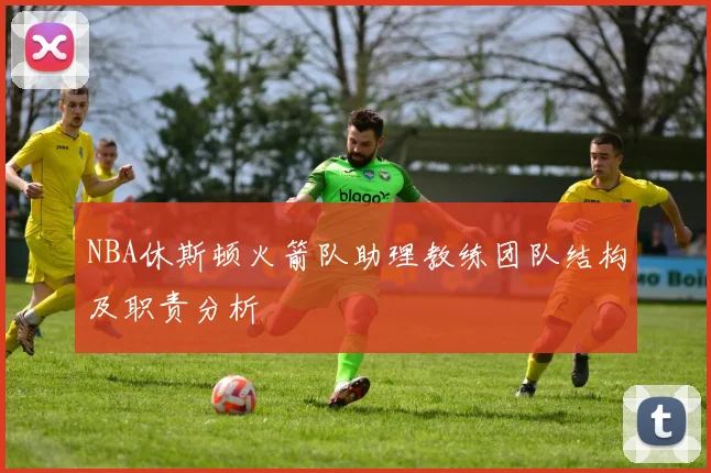 NBA休斯顿火箭队助理教练团队结构及职责分析