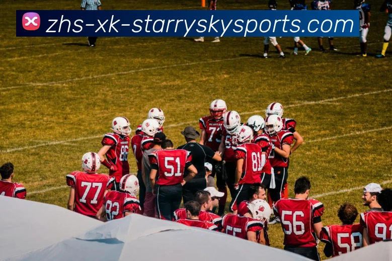 星空体育平台生态图